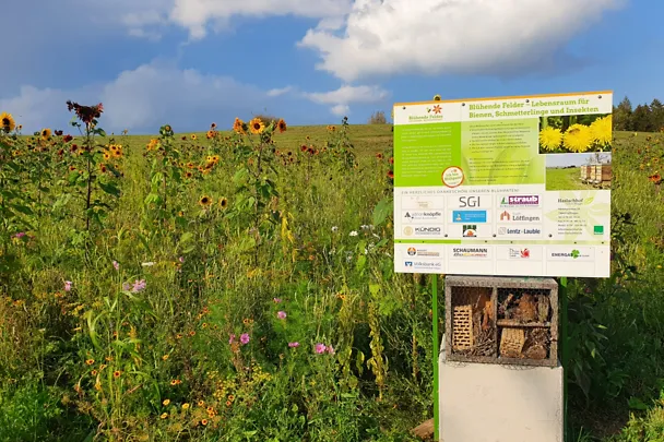 Bild vom Feld der Schaumann BioEnergy Blühpatenschaft Bild vom Feld der Schaumann BioEnergy Blühpatenschaft