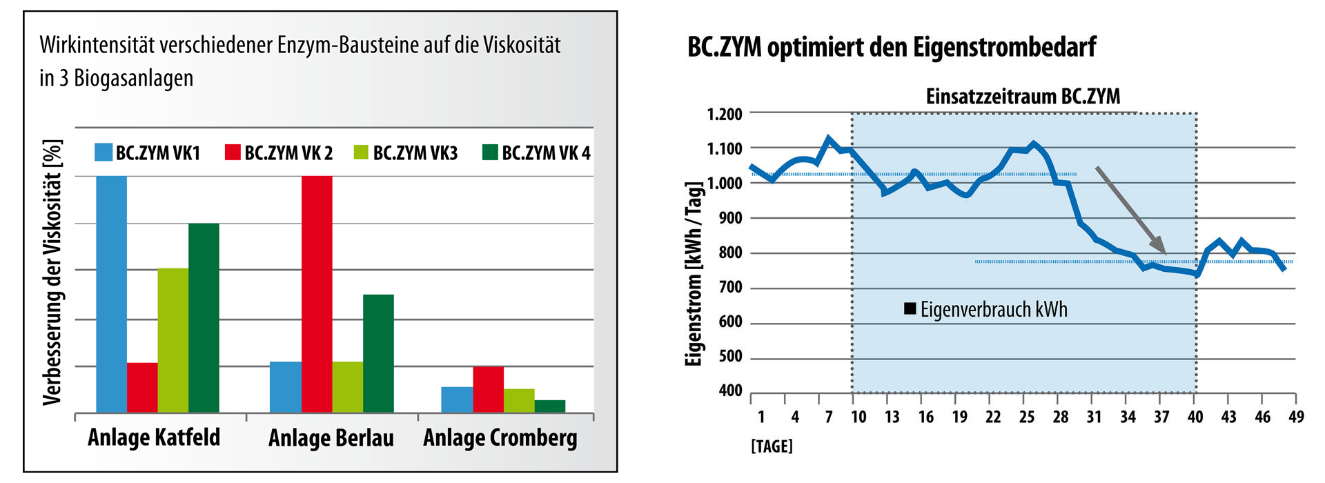 Infografik BC.ZYM Infografik BC.ZYM