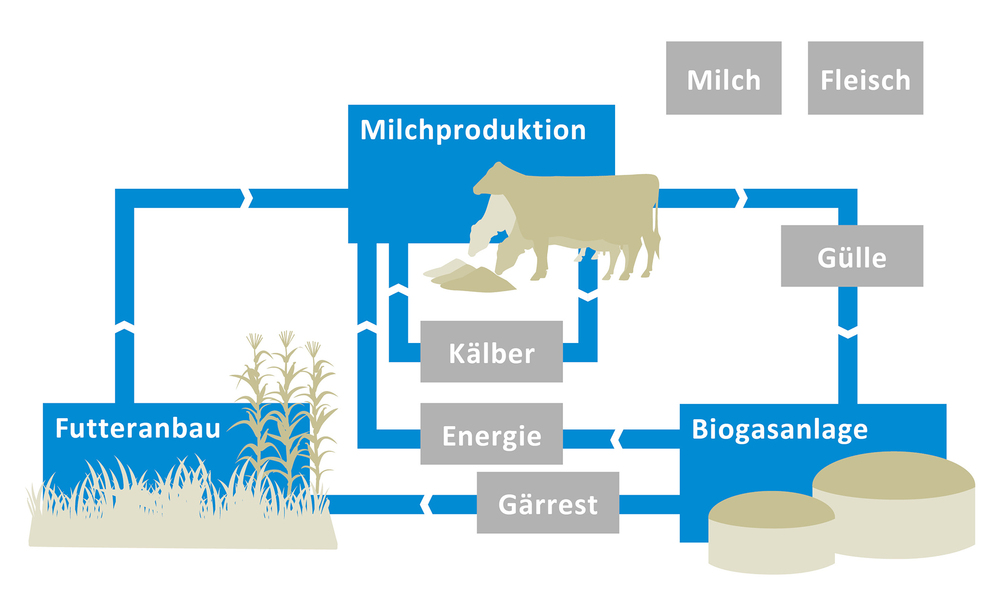 Produktionssystem auf Gut Hülsenberg, vereinfachte Darstellung Produktionssystem auf Gut Hülsenberg, vereinfachte Darstellung