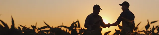 Handschlag im Feld im Abendlicht Handschlag im Feld im Abendlicht