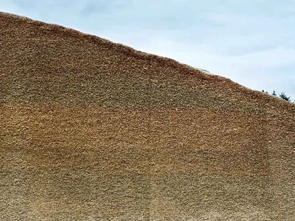 Siloanschnittfläche Siloanschnittfläche