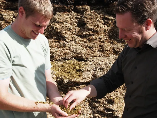 Beratungsgespräch von zwei Männern an der Siloanschnittfläche Beratungsgespräch von zwei Männern an der Siloanschnittfläche