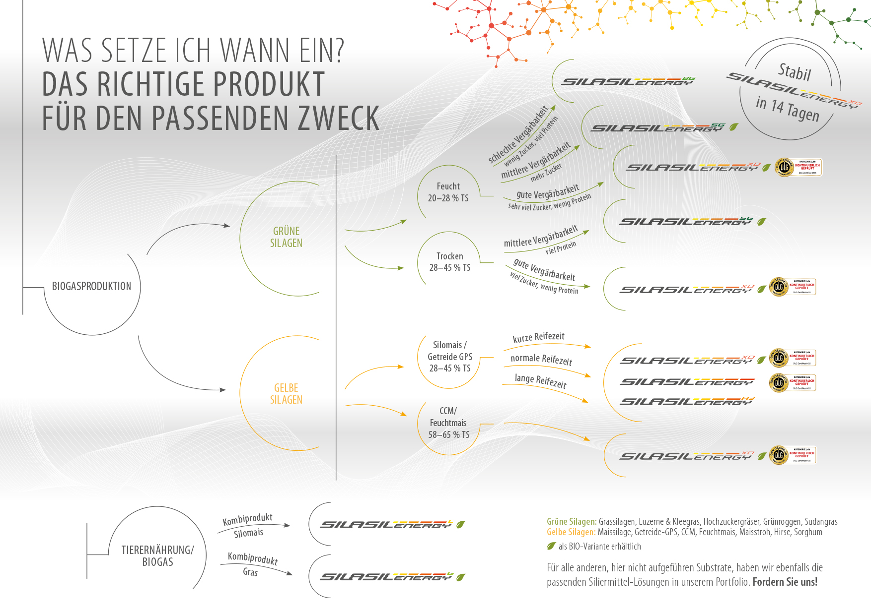 Entscheidungshilfe SILASIL.ENERGY-Produkte Entscheidungshilfe SILASIL.ENERGY-Produkte