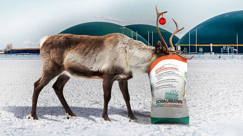 Frohe Weihnachten - Schaumann BioEnergy